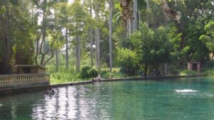 Las Marías de Neyba